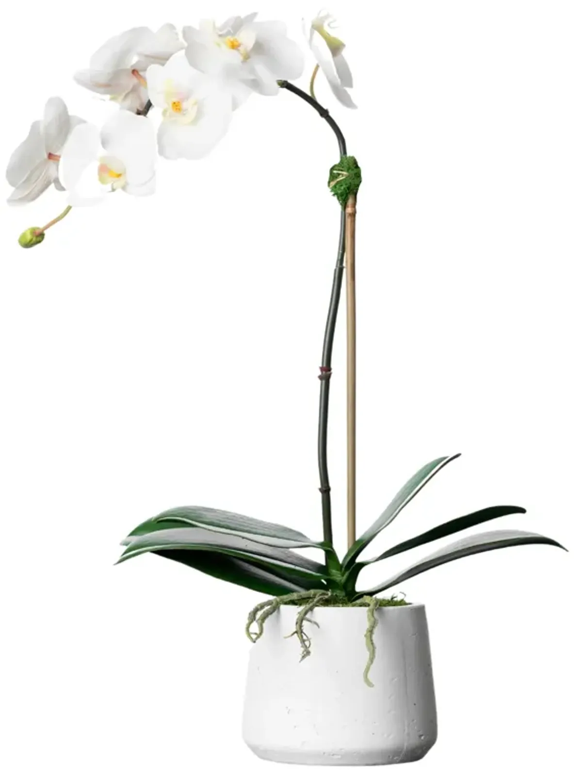 Artificial Orchid Plant - White Orchid- 21"