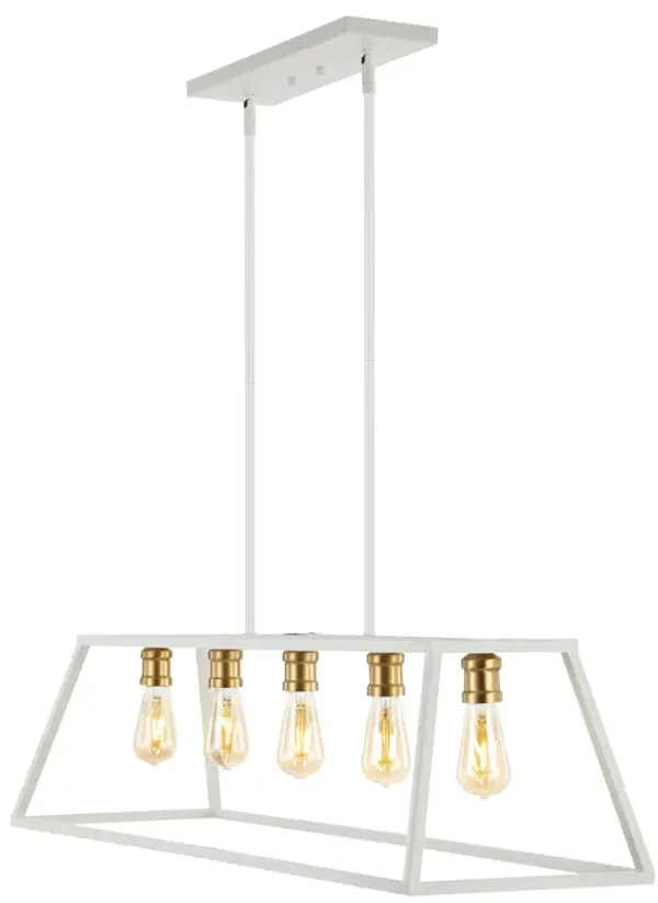 Floyd Adjustable Iron Farmhouse Vintage LED Dimmable Pendant