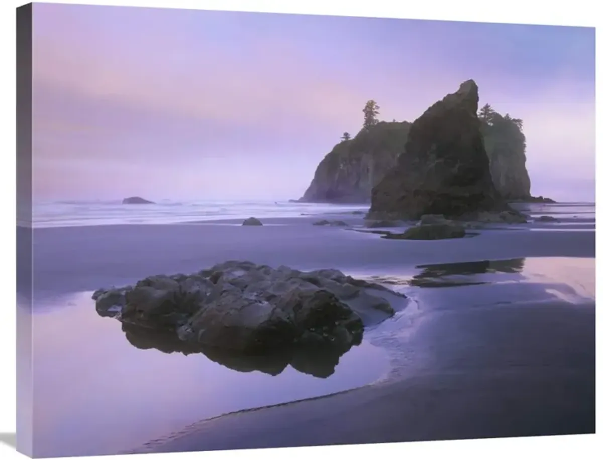 Ruby Beach with seastacks and boulders, Olympic National Park, Washington-Canvas Art-32x24