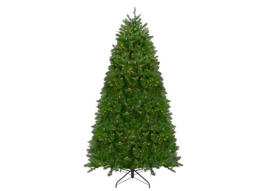 12' Pre-Lit Northern Pine Full Artificial Christmas Tree  Clear Lights