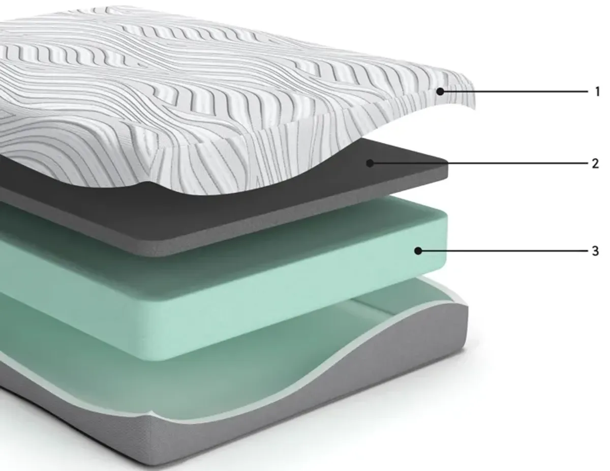 Meny Queen Mattress, Ultra Plush Memory Foam, Body Support 12 Inch - Benzara