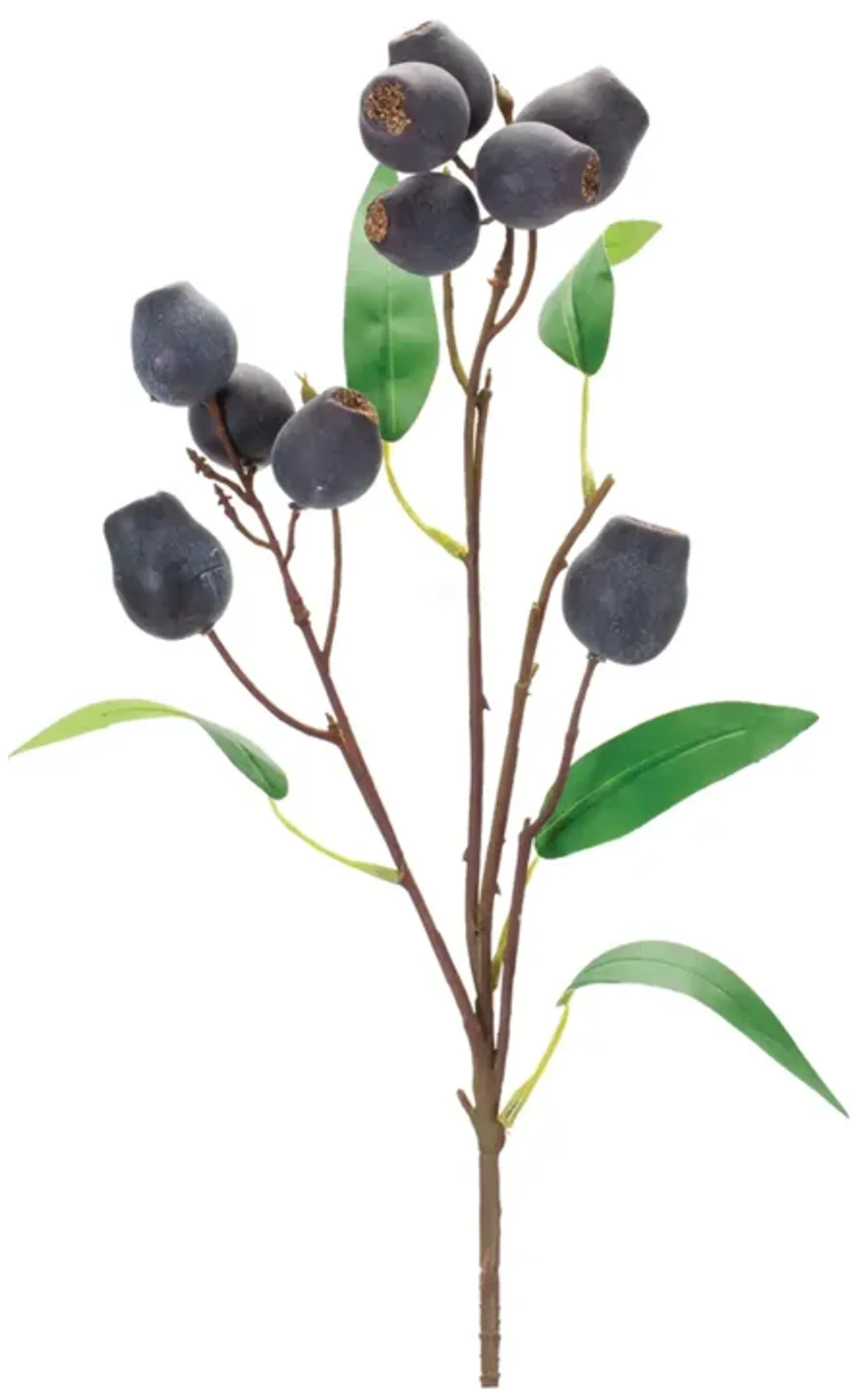 "Plum Pod Spray (Set of 6) – Elegant Artificial Stems for Autumn