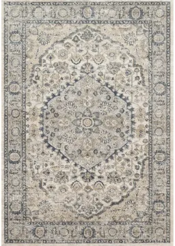 Light Gray color