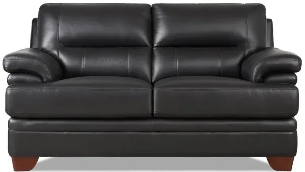 Luxor Top Grain Leather Loveseat