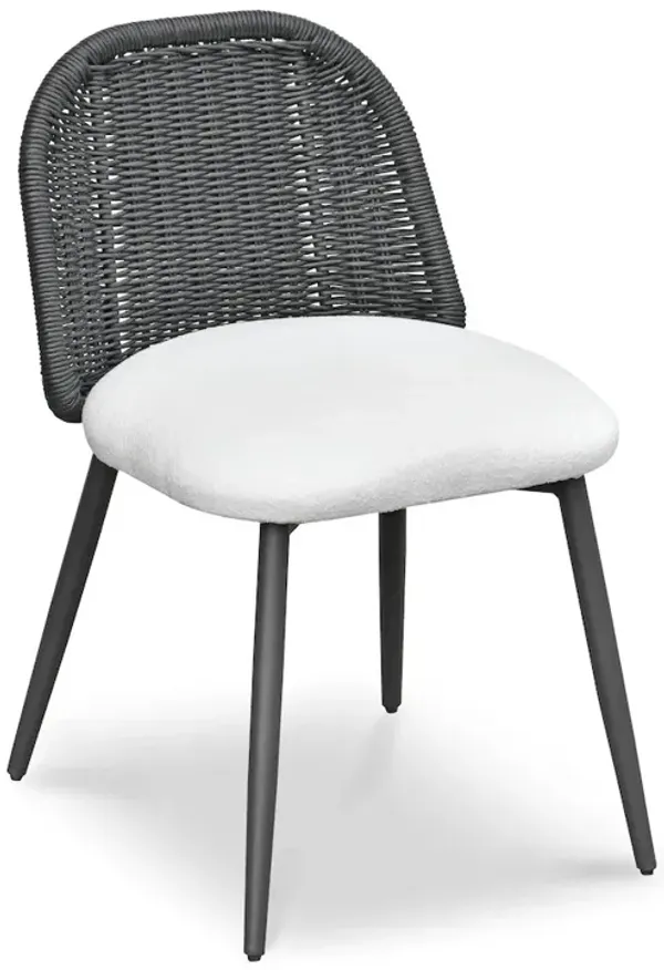 TOV Furniture Alexa Black Rattan Performance Fabric Dining Chair