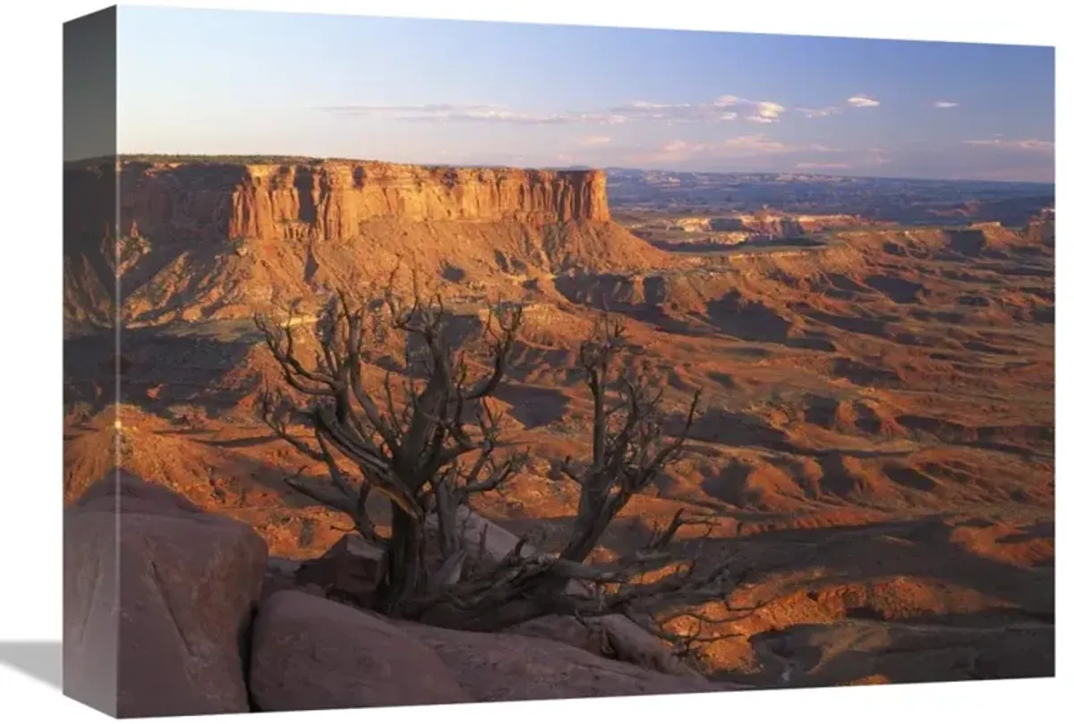 View from Green River overlook, Canyonlands National Park, Utah-Canvas Art-16x12