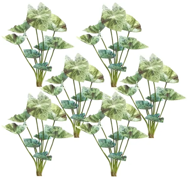 Variegated Caladium Foliage Bush for Lush Home Décor and Floral Arrangements (Set of 6)