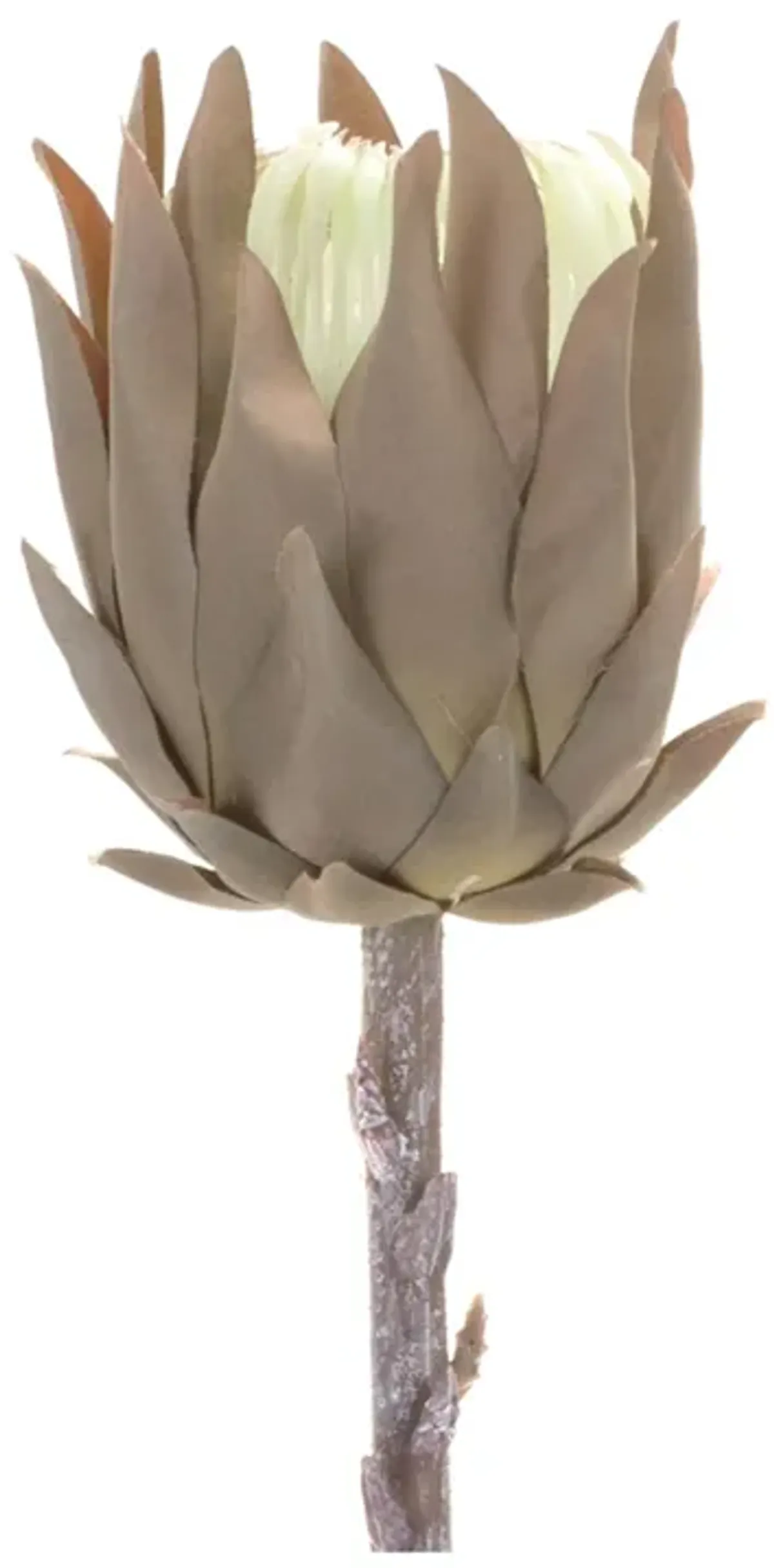 Set of 6 Stunning Exotic Protea Stems Bold Artificial Blooms for Unique Floral Arrangements