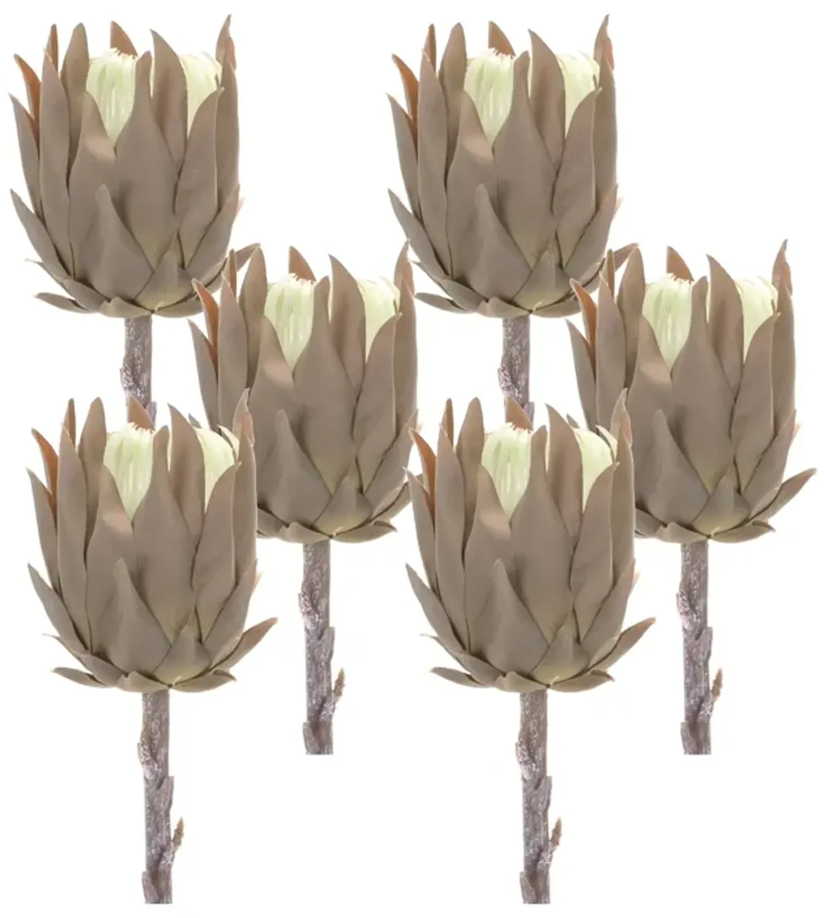 Set of 6 Stunning Exotic Protea Stems Bold Artificial Blooms for Unique Floral Arrangements