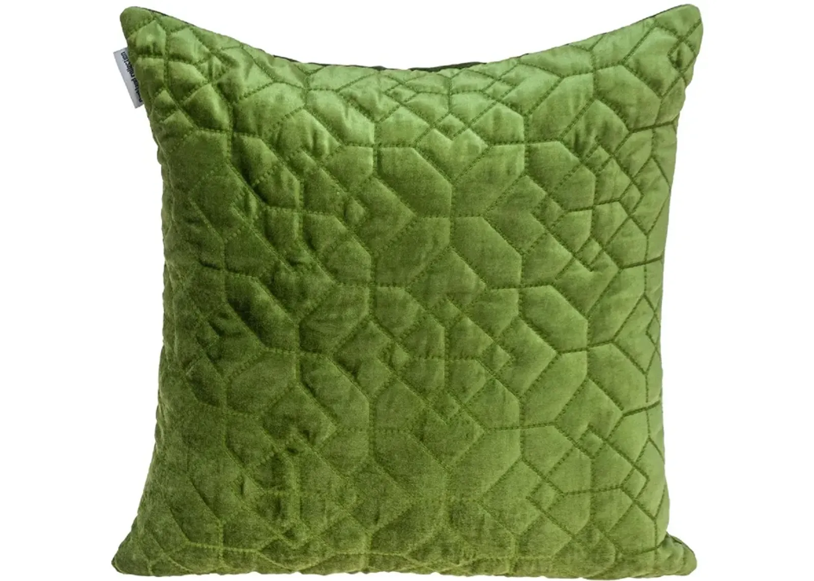 20" Green Transitional Square Throw Pillow