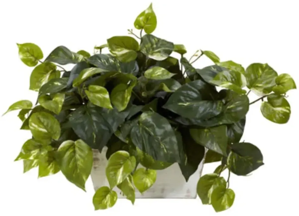 Hivvago Pothos w/White Wash Planter Silk Plant