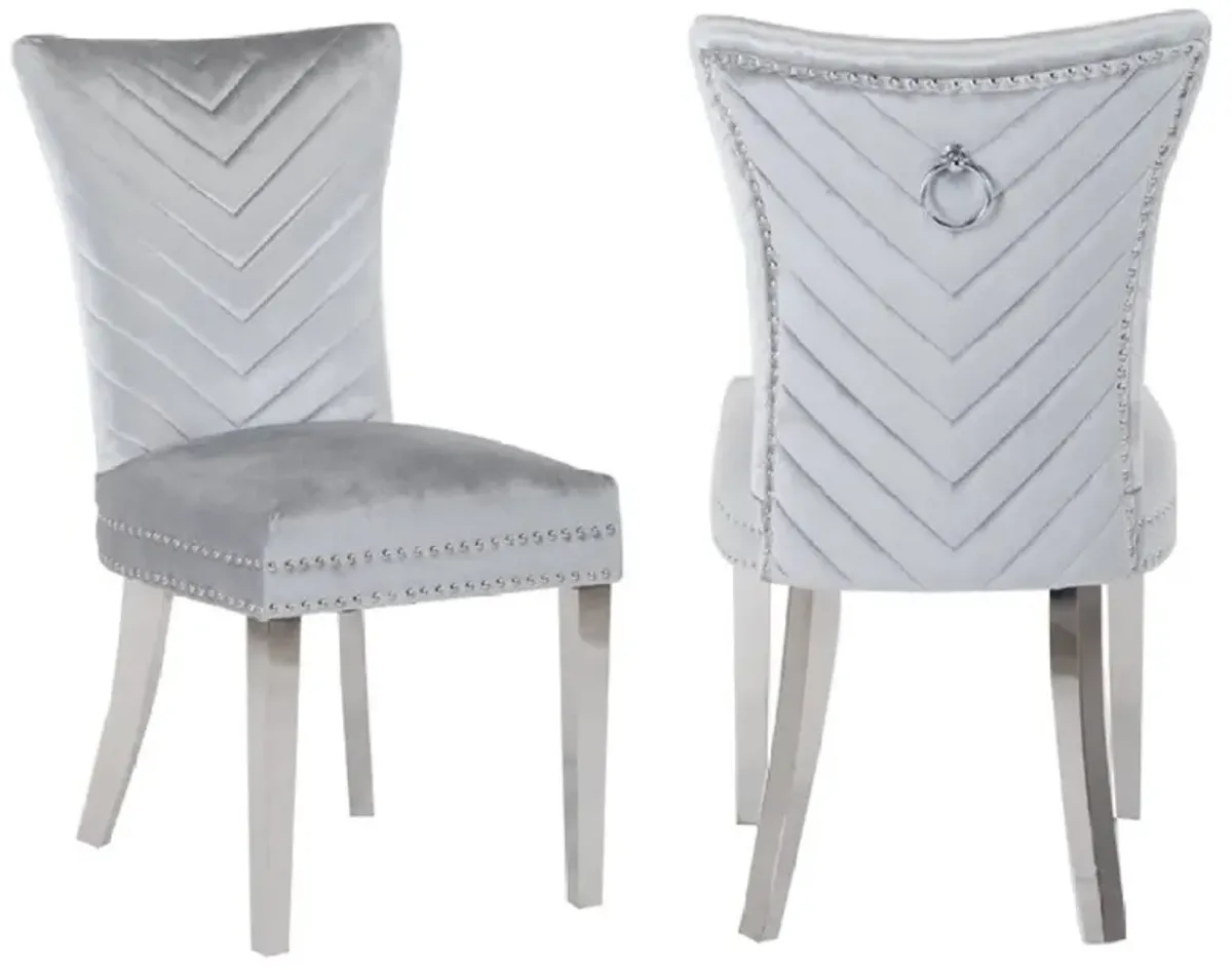 Eva 2 Piece Dining Chairs Finished with Velvet Fabric