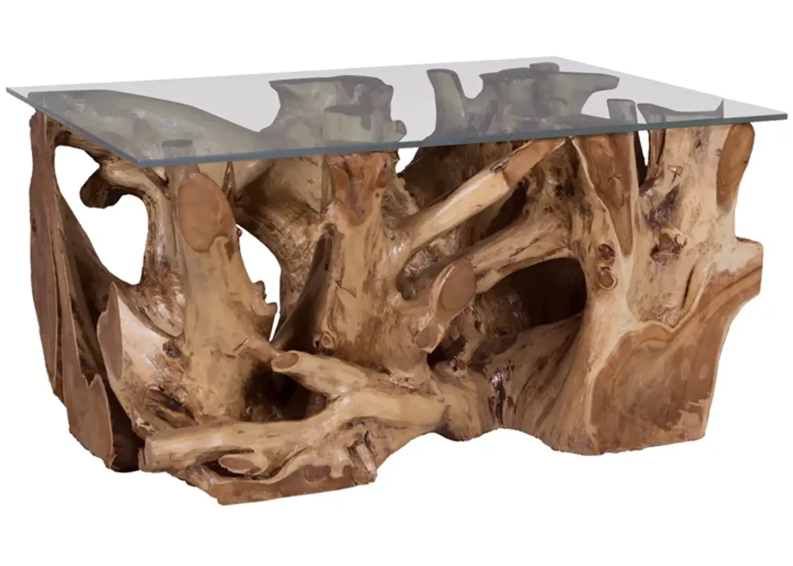 Teak Root Coffee Table