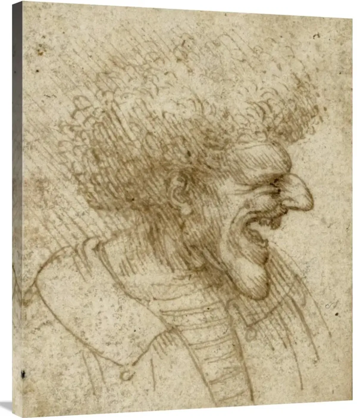 Caricature of a Man with Bushy Hair-Canvas Art-29.88x36