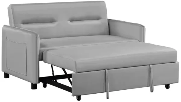 Sleeper Sofa 2 Seat Sofabed with 2 Pillow