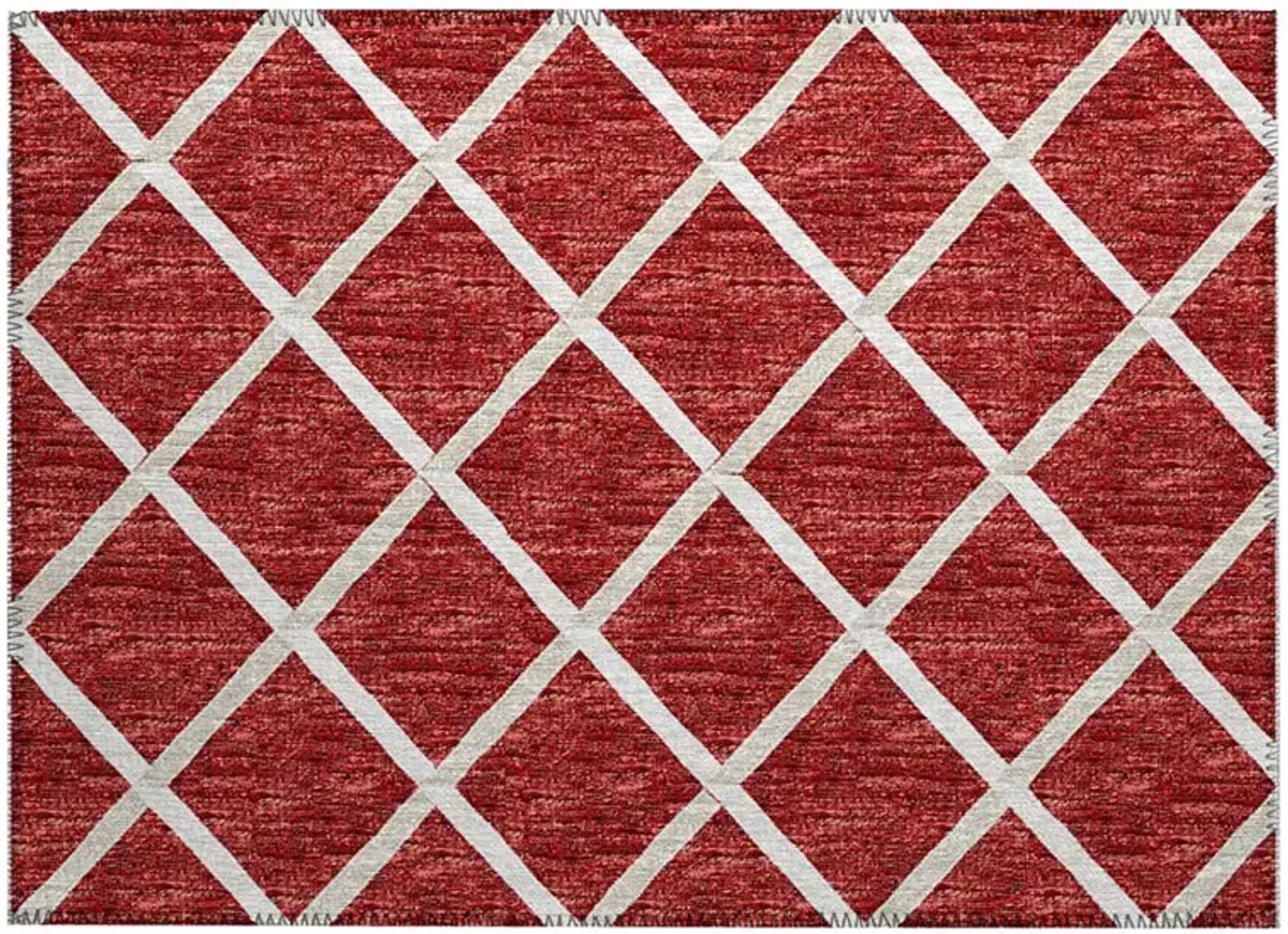 York YO1 Red 20" x 30" Rug