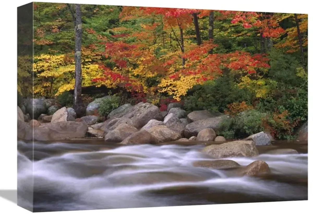 Autumn along Swift River, White Mountains National Forest, New Hampshire-Canvas Art-16x12