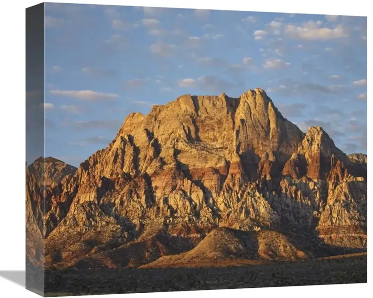 Spring Mountains, Red Rock Canyon National Conservation Area near Las Vegas, Nevada-Canvas Art-16x14.08