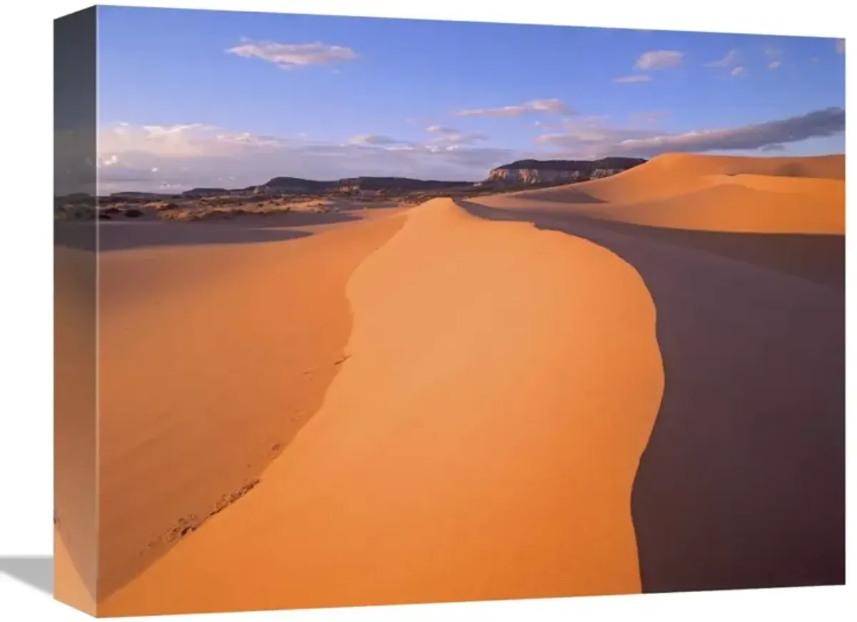 Wind ripples in sand dunes beneath sandstone cliffs, Coral Pink Sand Dunes State Park, Utah-Canvas Art-16x12