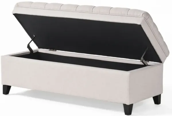 Meraxt Storage Ottoman Bench for Living Room, Bedroom