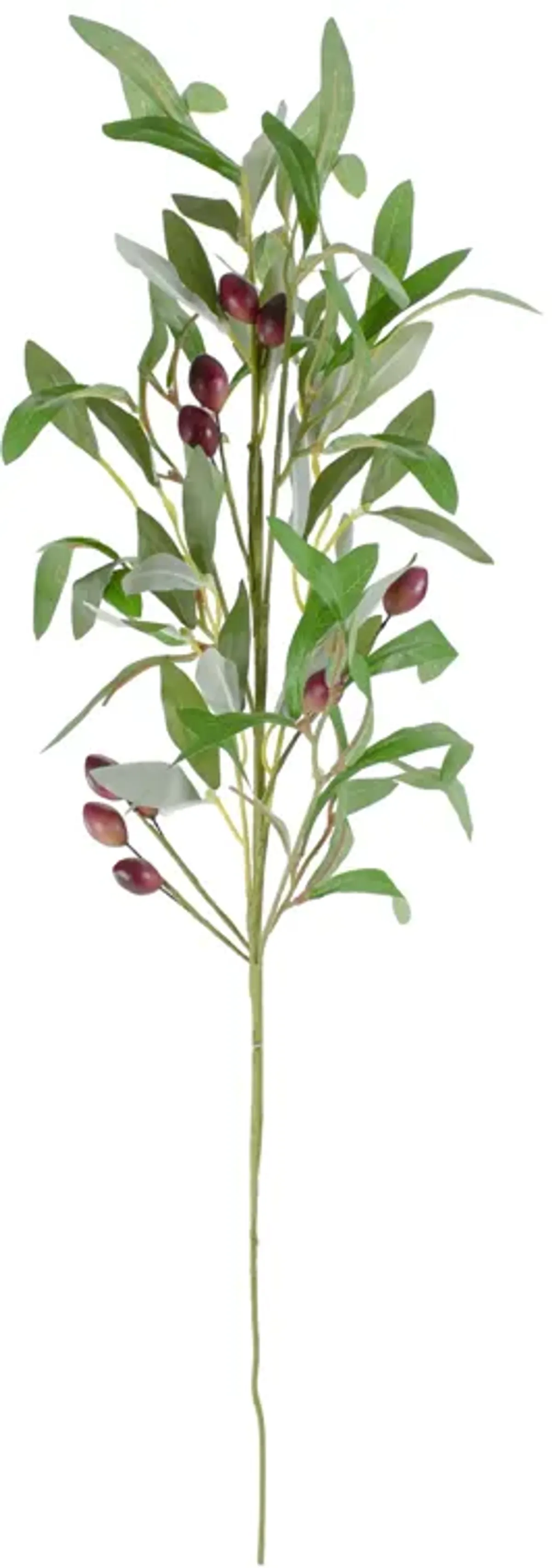 28" Artificial Olive Branch Stem with Leaves and Fruit