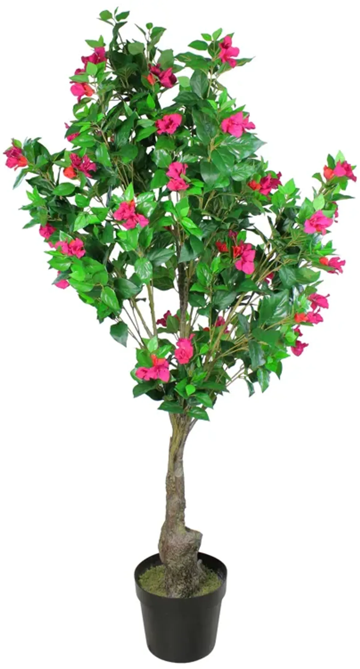 74.5" Pink and Red Potted Artificial Bougainvillea Tree