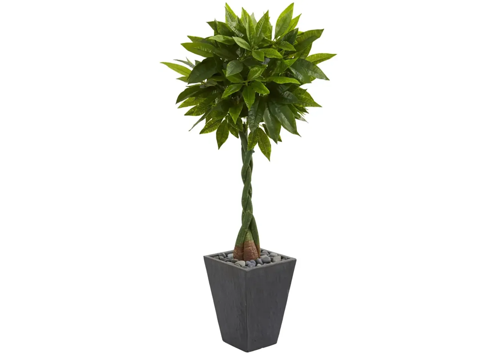 HomPlanti 5 Feet Money Artificial Tree in Slate Planter (Real Touch)