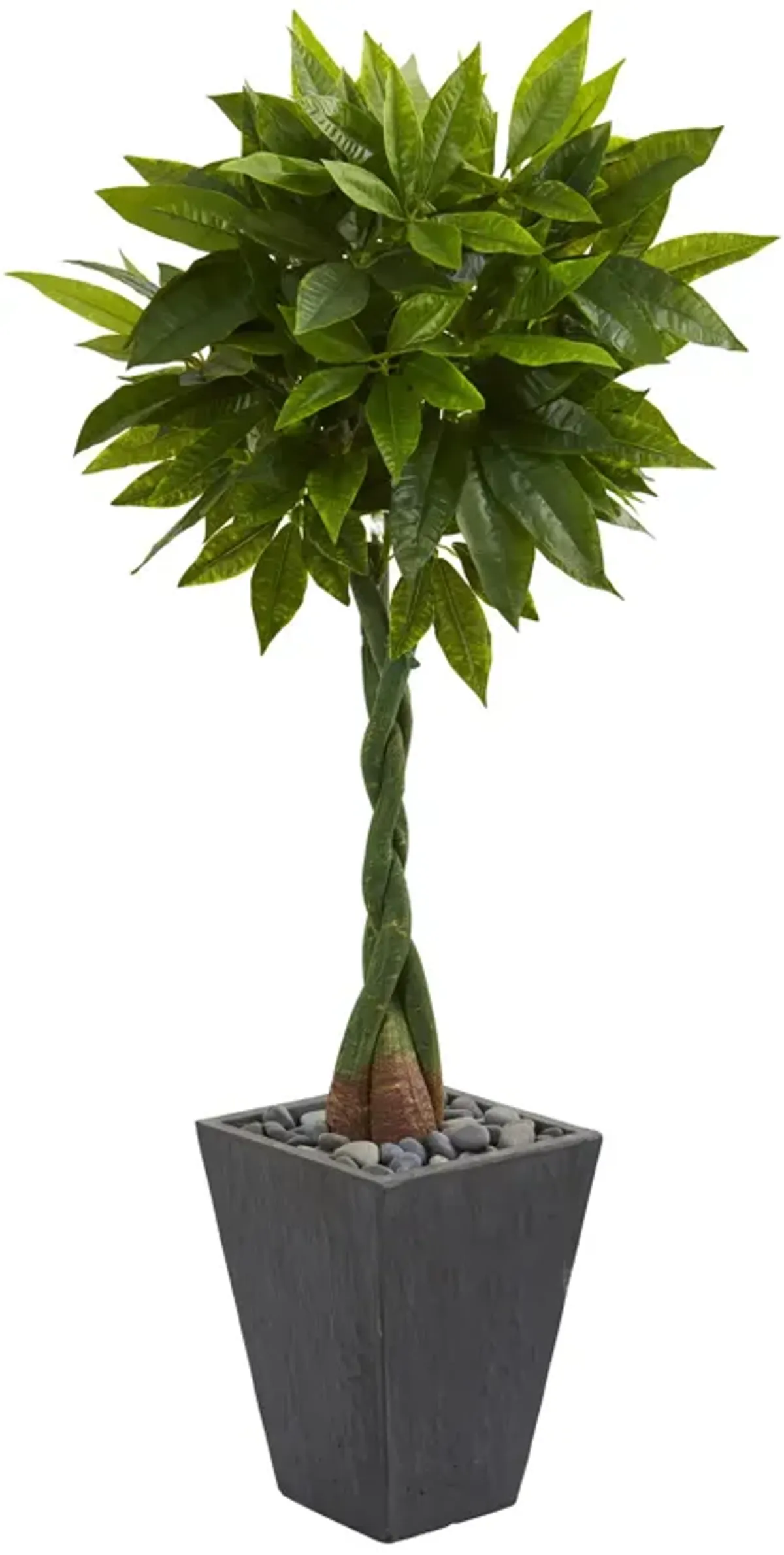 HomPlanti 5 Feet Money Artificial Tree in Slate Planter (Real Touch)