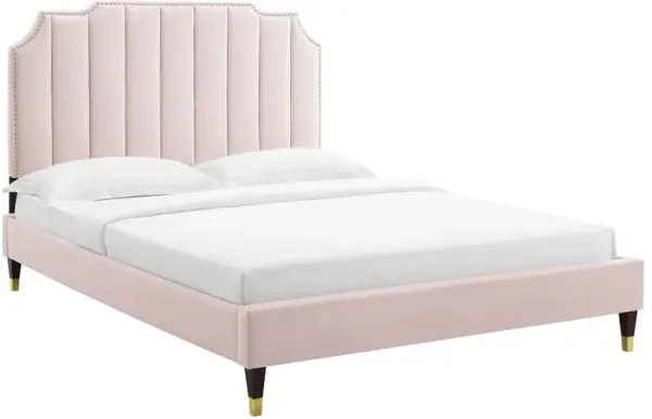 Modway - Colette King Performance Velvet Platform Bed