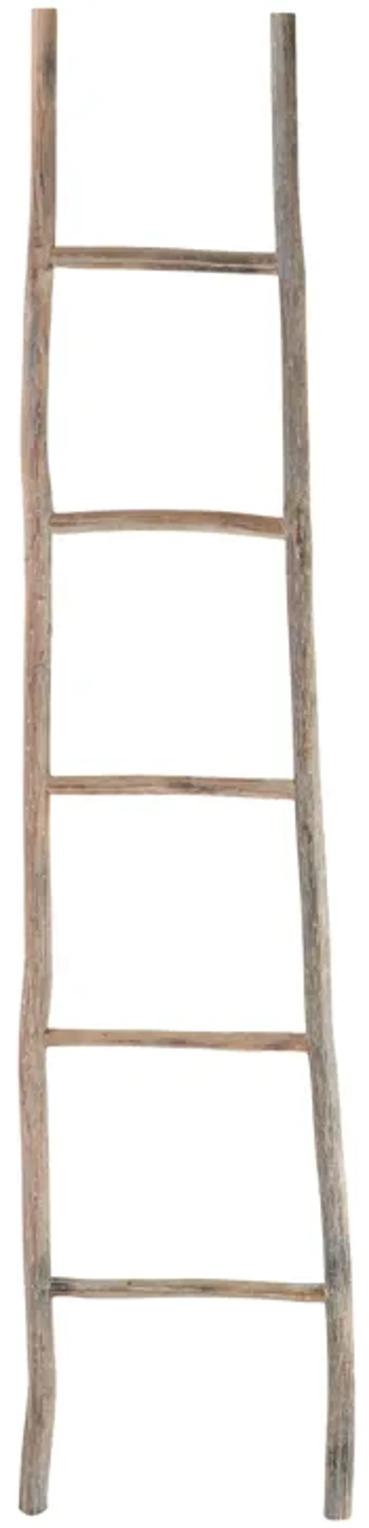 Lydia Large Wood Ladder