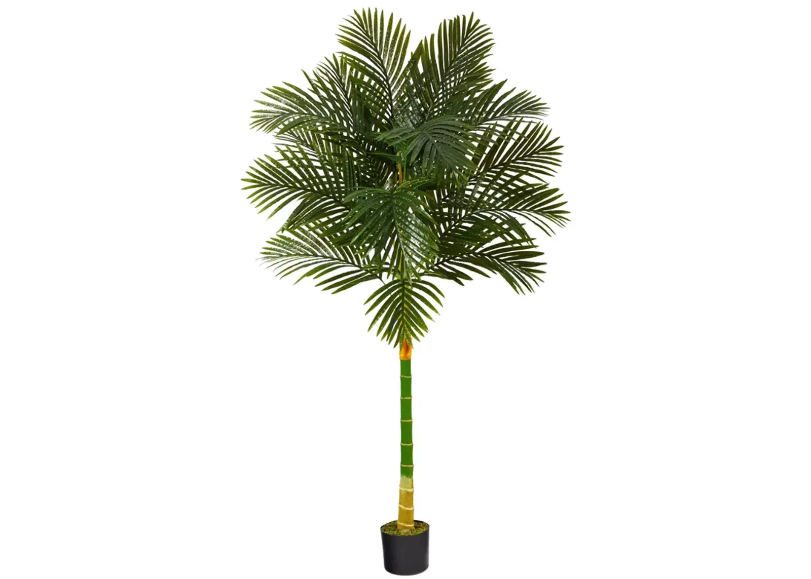 HomPlanti 6 Feet Single Stalk Golden Cane Artificial Palm Tree