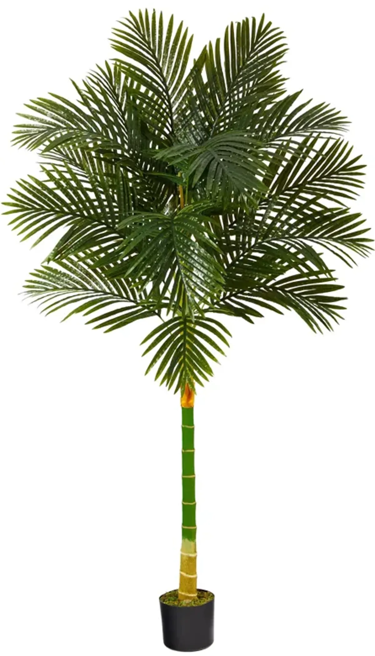 HomPlanti 6 Feet Single Stalk Golden Cane Artificial Palm Tree