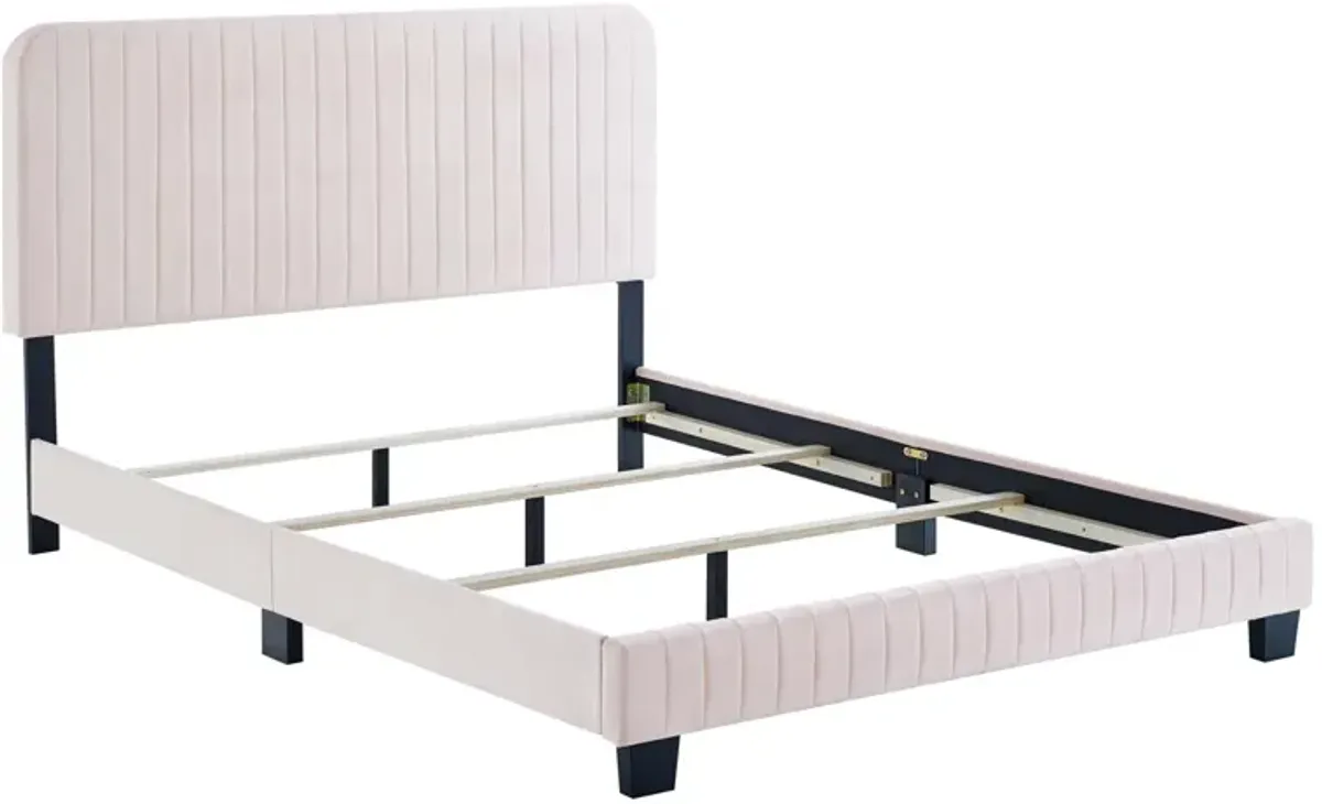 Modway - Celine Channel Tufted Performance Velvet Twin Bed