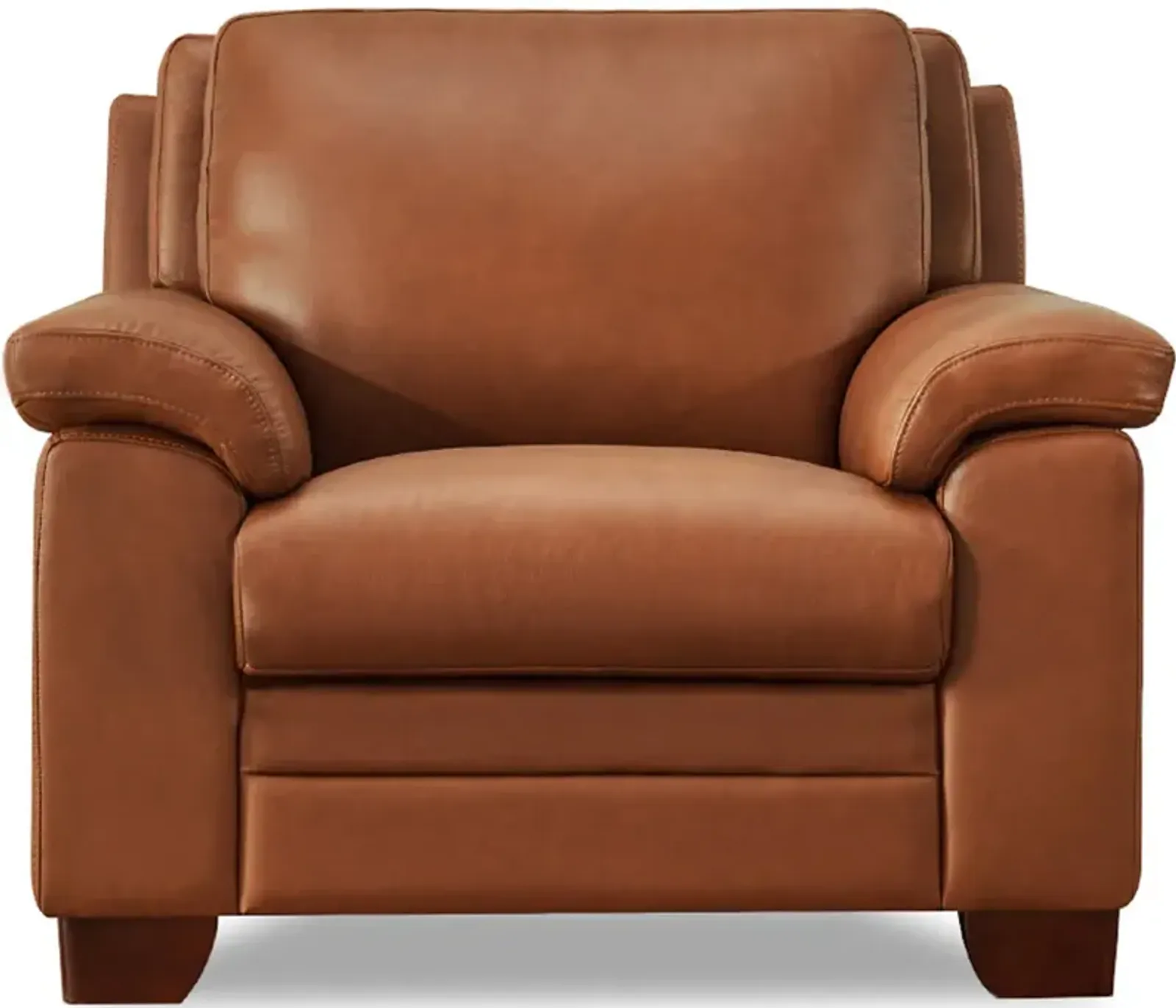 Magnum Top Grain Leather Chair