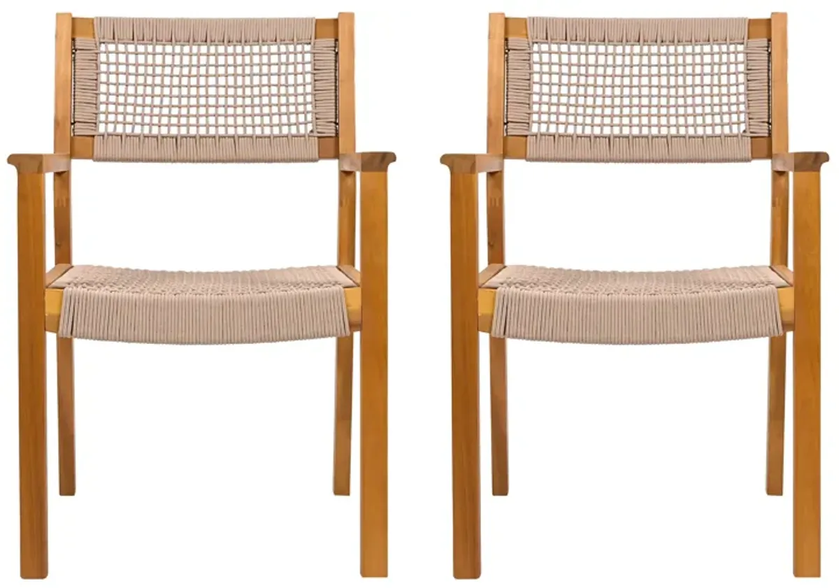 Merax 2 Pieces Acacia Wood Dining Chairs