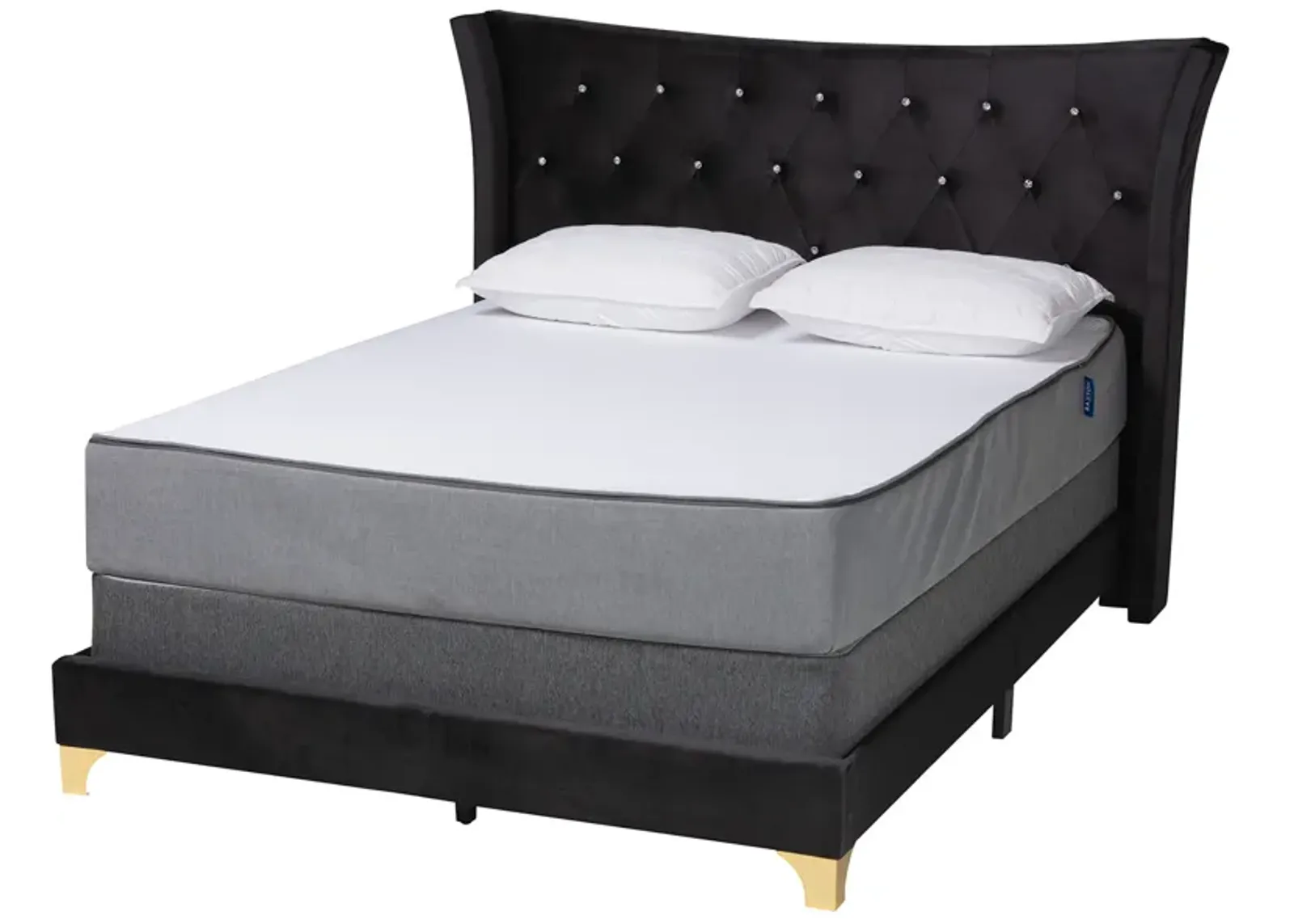 Baxton Studio Easton and Luxe Black Velvet and Gold Metal Queen Size Panel Bed