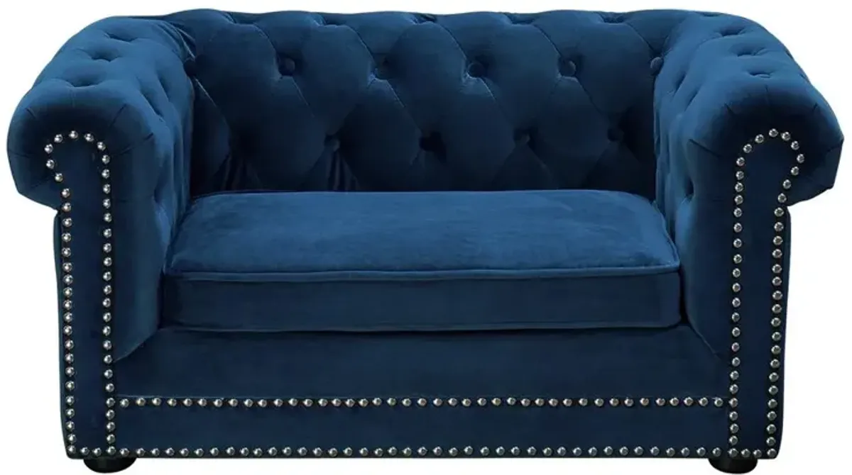 Belen Kox Navy Velvet Pet Retreat, Belen Kox