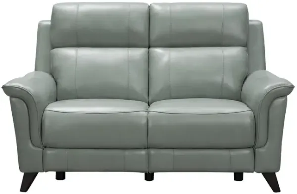 Barcalounger 29PH-3716 Kester Power Reclining Loveseat, Mint