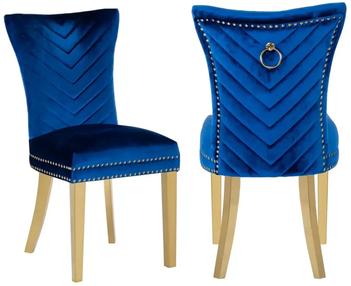 Eva 2 Piece Dining Chairs Finished with Velvet Fabric