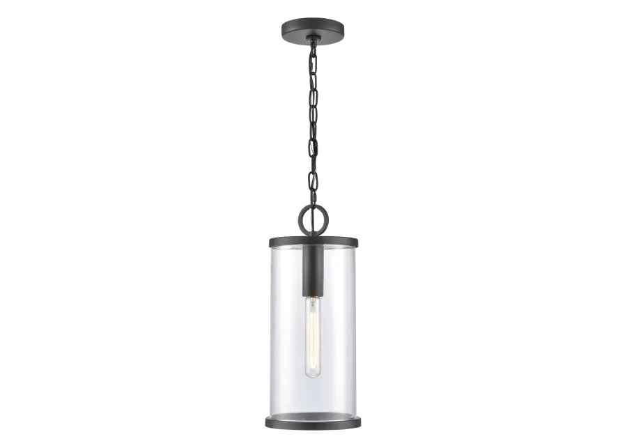 Hopkins Hanging Outdoor Light