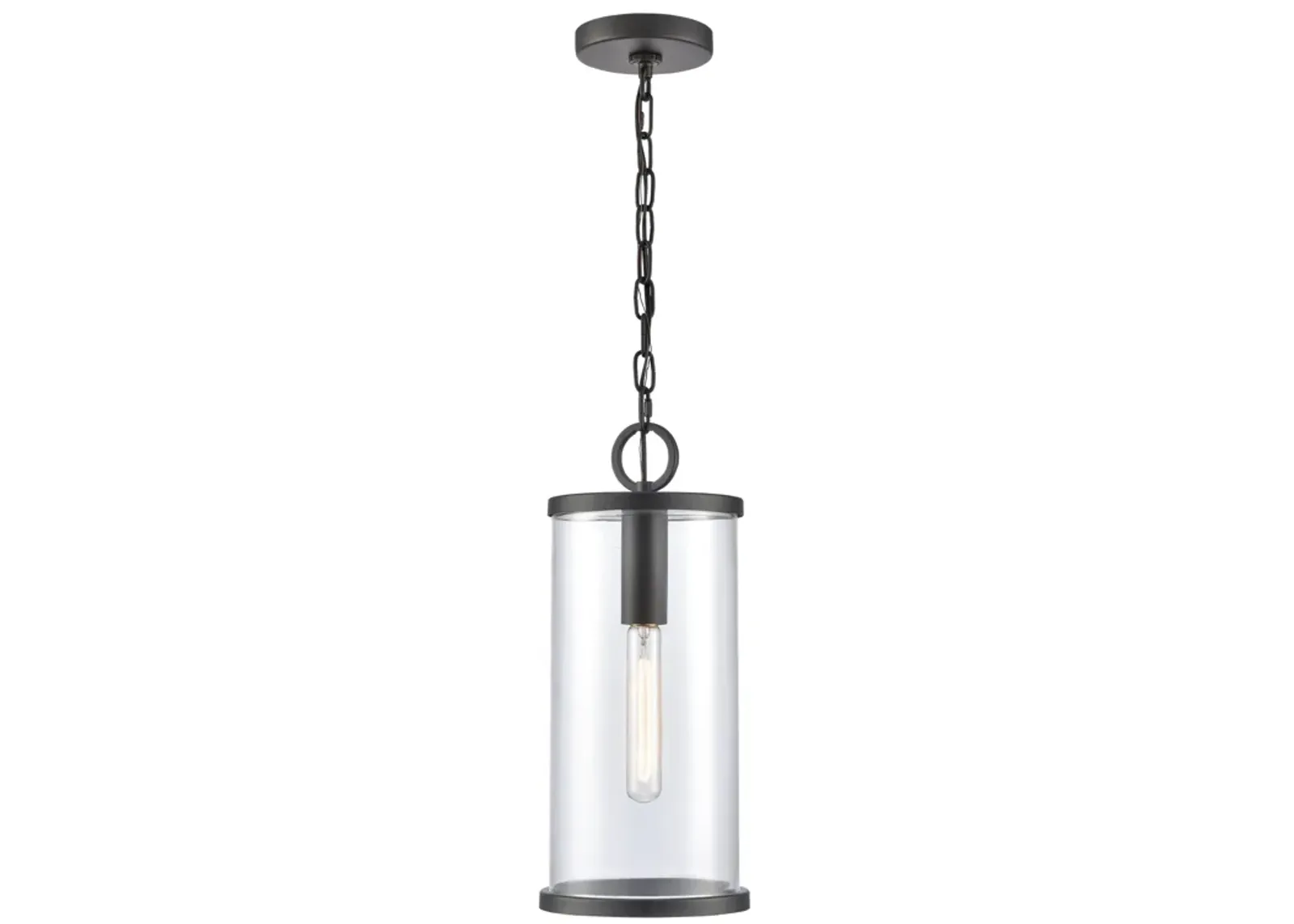 Hopkins Hanging Outdoor Light