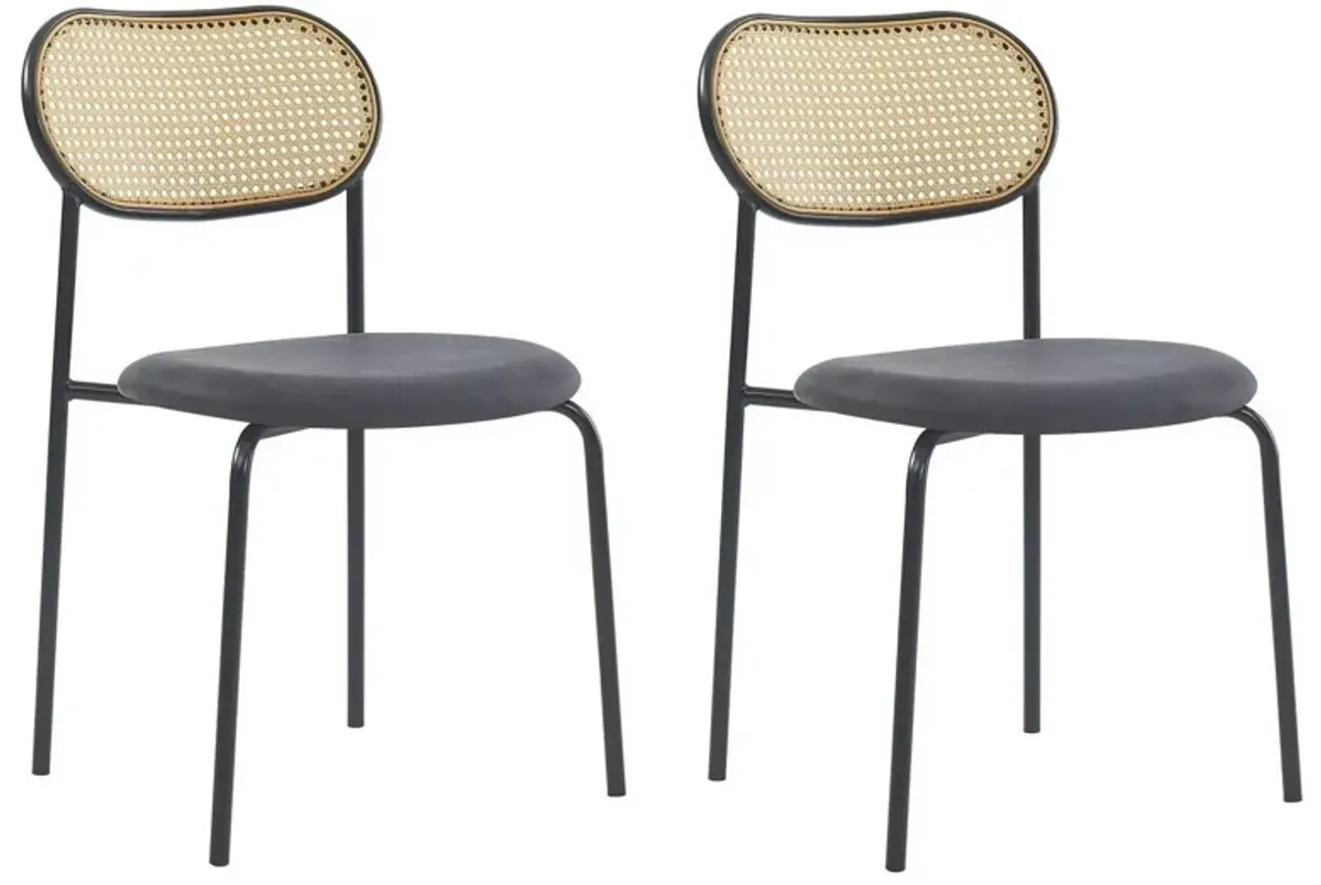 Set of 2 Industrial Metal Cane Rattan Dining Chairs