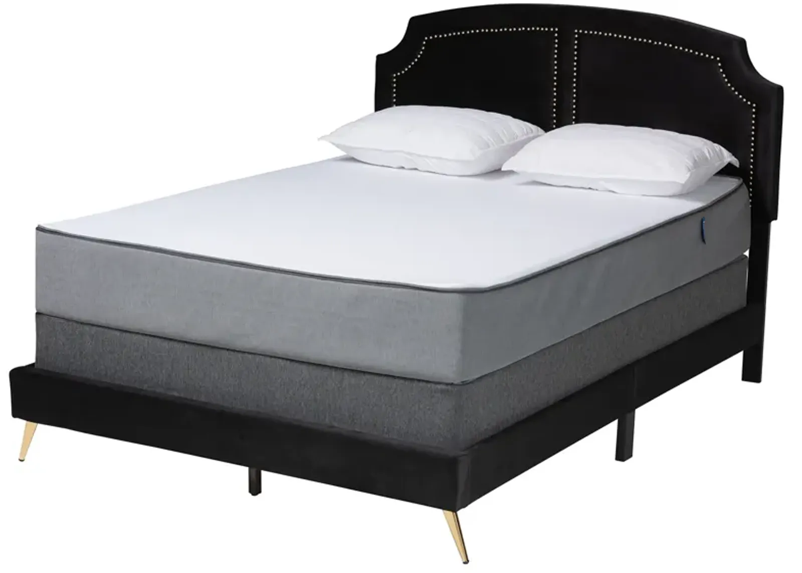 Baxton Studio Oxley Traditional Black Velvet and Gold Metal Queen Size Panel Bed