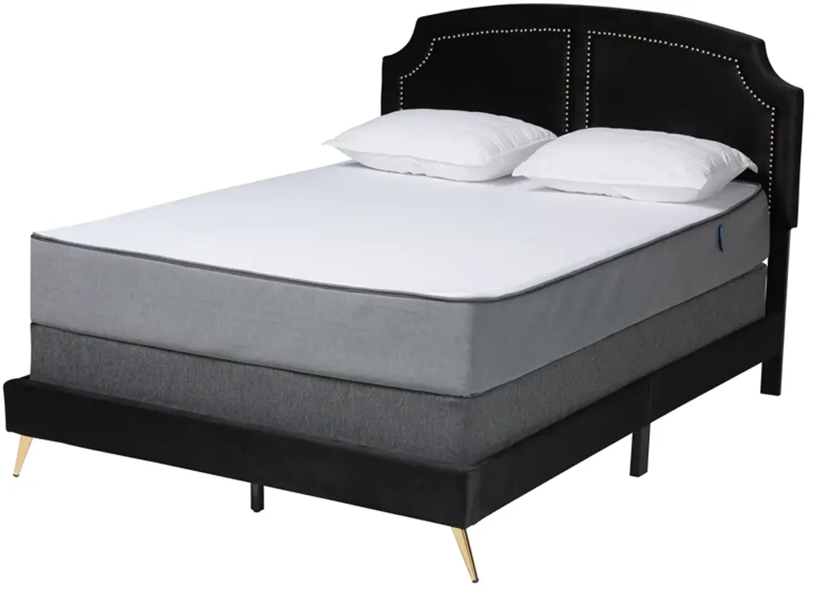 Baxton Studio Oxley Traditional Black Velvet and Gold Metal Queen Size Panel Bed