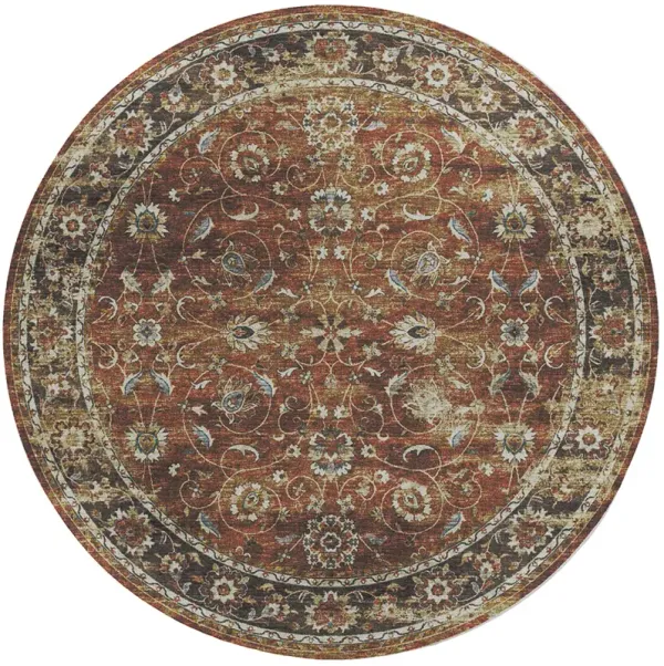 Tuscany TU14 Paprika 4' Rug