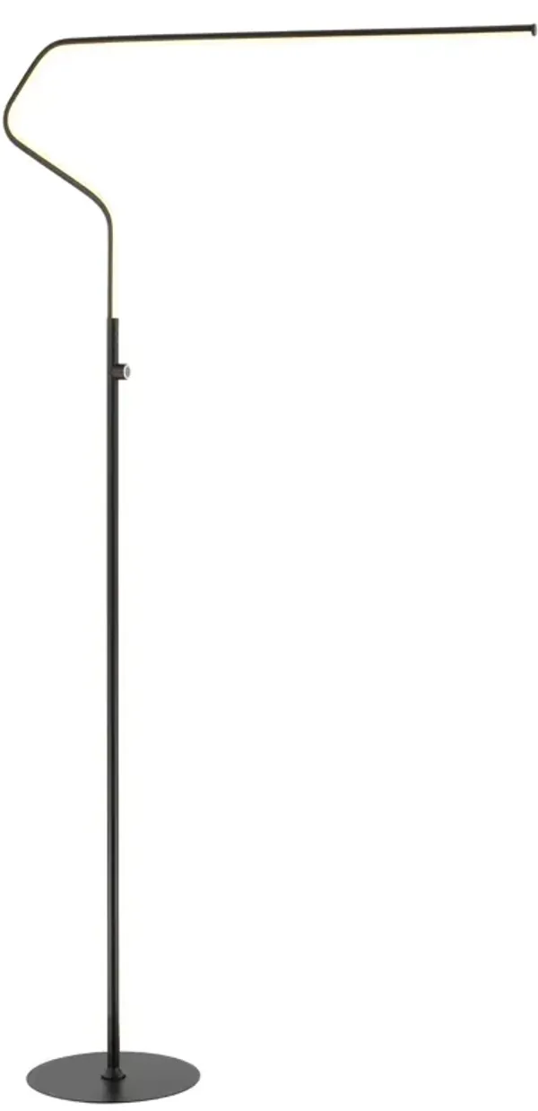 Julian Integrated LED Metal Floor Lamp