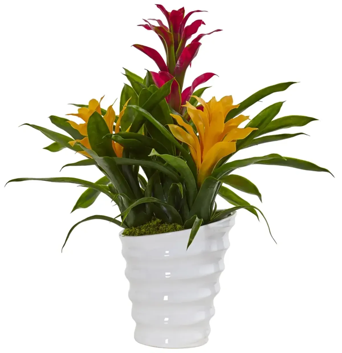 Hivvago Bromeliad in White Swirl Vase