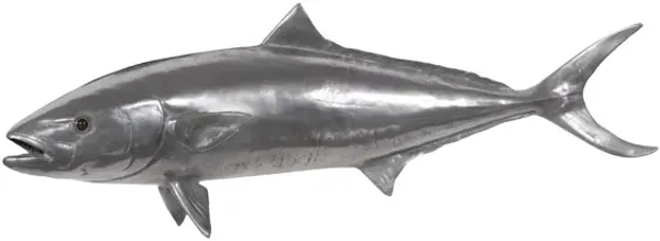 Yellow Tailed King Wall Sculpture
