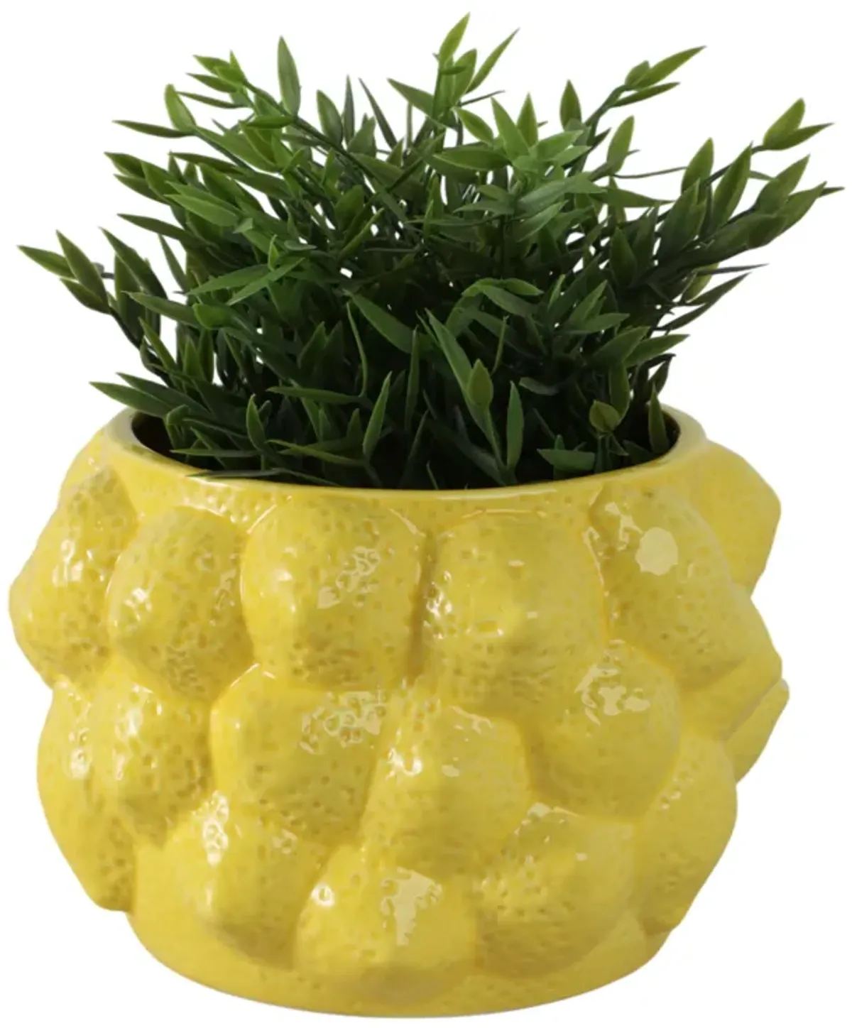 Solid Lemons Flower Pot