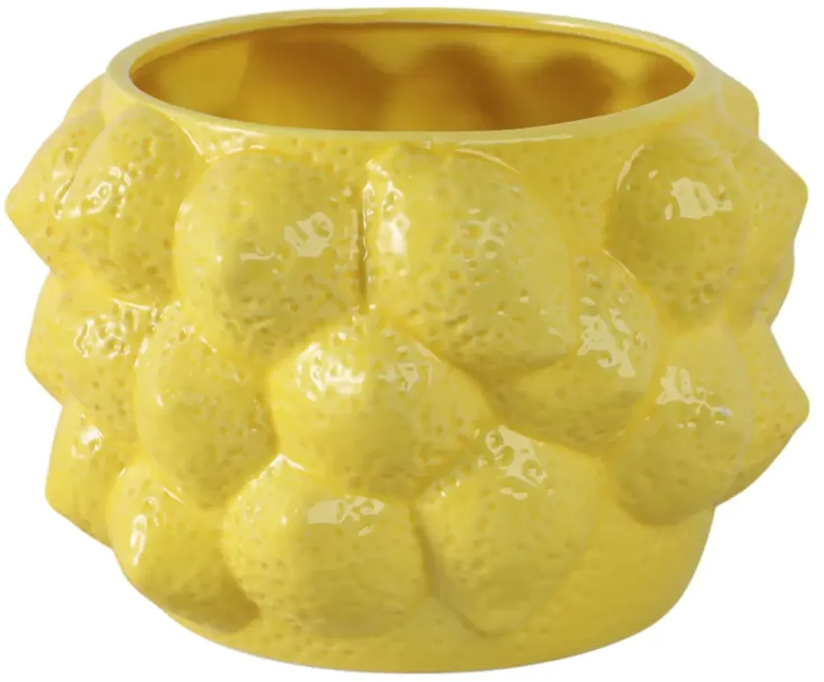 Solid Lemons Flower Pot